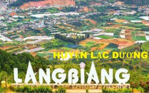 Thuê thám tử huyện Lạc Dương tỉnh Lâm Đồng lựa chọn # 1 Thuê thám tử huyện Lạc Dương tỉnh Lâm Đồng
