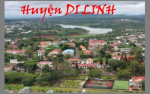 Thuê thám tử huyện Di Linh uy tín số 1 tỉnh Lâm Đồng Thuê thám tử huyện Di Linh tỉnh Lâm Đồng